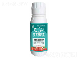 ��ݮӲ����-����-�֮��