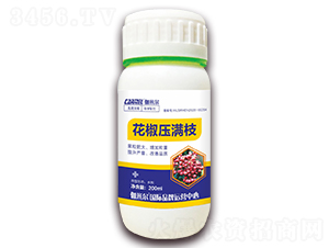 �������M֦-٤�נ�-ľ�̼ь�