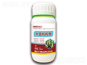 �������-٤�נ�-ľ�̼ь�