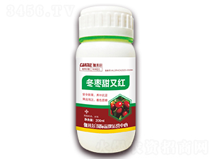 �������ּt-٤�נ�-ľ�̼ь�