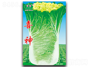 ϲ��-�ײ˷N��-�Ɖ�