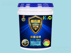 �S����⛣�Ͱ��-���C��-��������