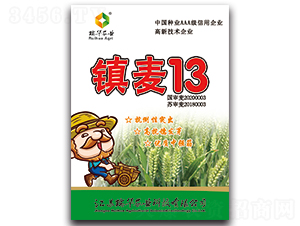 �(zh��n)��13-С���N��-���A�r(n��ng)�I(y��)