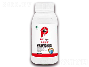 ΢�������-���߹ܼ�-���՘�