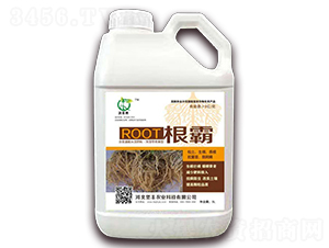 5L����-���S��-���S�r(n��ng)�I(y��)