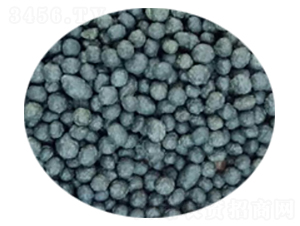 �����@���w��-�Gɫ��@