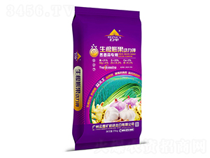 ​������������-�ü�-�V���ƈD