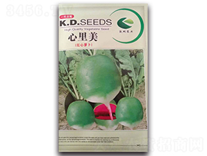 ������-�}���N��-����N�I(y��)