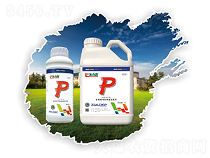 ���������طNҺ�w����-��������