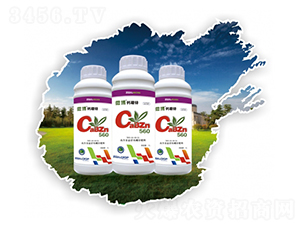 �ߺ����Ҹ��}���\����-��������