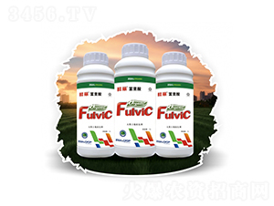 ��Ȼ����������-��������