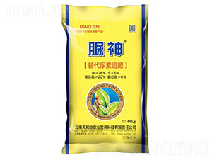 ����26-0-0-����