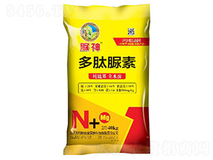 ��������-����-����