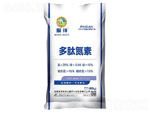 ���ĵ���-����-����