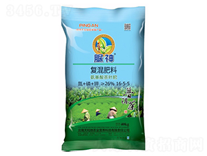 ���~���Ï�(f��)�����16-5-6-����-����