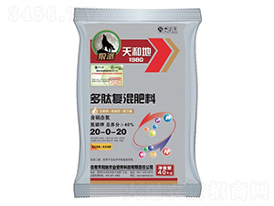 ���ď�(f��)�����20-0-20-��͵�-����