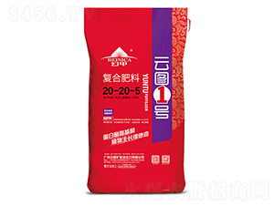 �ͺϷ���20-20-5-�ƈD1̖