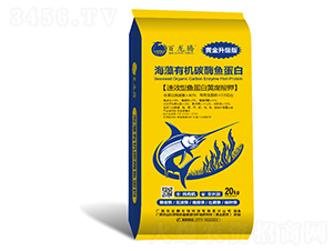 �����ЙC(j��)̼ø�~����-�����v