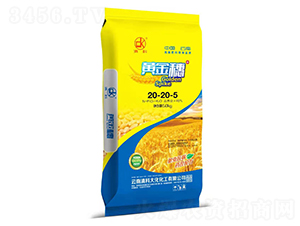 �S����20-20-5-���