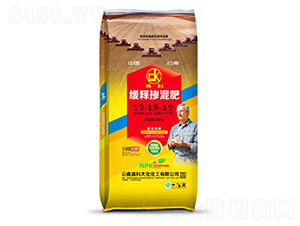 ��ጓ����19-19-19-���