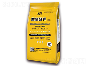 �S����⛣�ԭ�ۣ�-���Y�Z