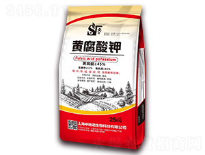 �S�����-���Y�Z