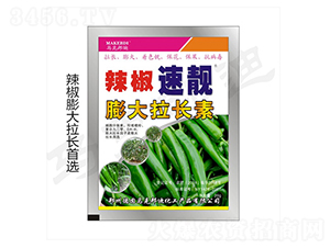 ������(zhu��n)��������L(zh��ng)��-���n-�R�˰��