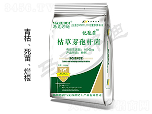 ���b�ݲ�ѿ�ߗU��-�|�߾�-�R�˰��