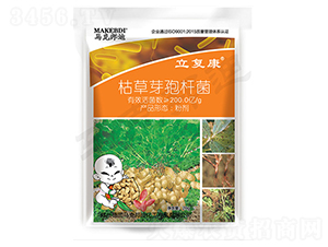 �������ÿݲ�ѿ�ߗU��-����(f��)��-�R�˰��