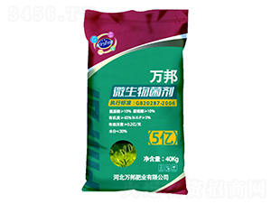 ΢�������-�f��ʘI(y��)