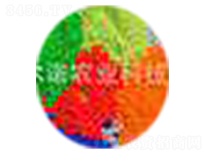 �Gɫ���Y(ji��)�K��-ؐ���Z�r(n��ng)�I(y��)