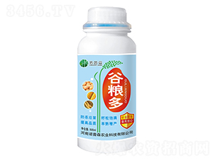 �ȼZ��-�Z��ɭ