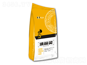 ΢�������-�����`-ʩؐ��