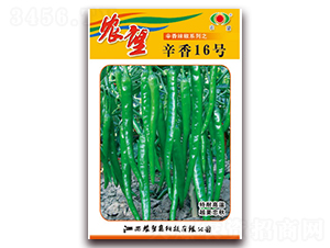 ����16̖-�����N��-�r(n��ng)��