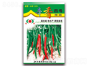 ����4̖-�����N��-�r(n��ng)��