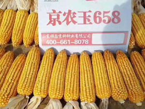 ���r(n��ng)��658-���׷N��-�r(n��ng)�