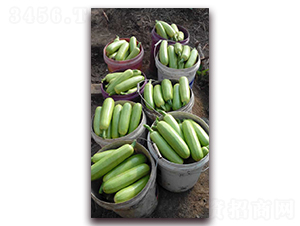 �r(n��ng)֮������һ̖(h��o)�����J�N��