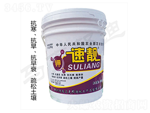 ���n-�R�˰��