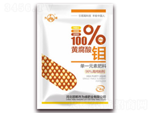 �S�����f-���ʘI(y��)