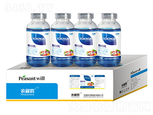 �Ǵ��}-�r�ڌ�-�����S