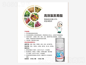 ���宐������(����̎����)-���t(y��)��-�S֮Դ