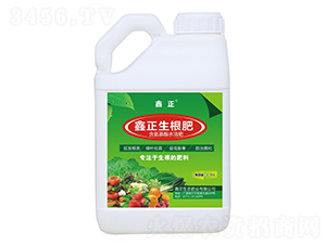 ����������-����