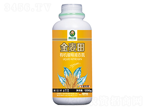 �ЙC(j��)���Һ�B(t��i)��-������-����ɭ