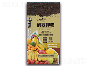 ������@-���r(n��ng)ʩ���S