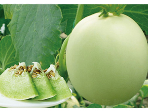 �߮a(ch��n)���-��ϷN��-�߶˷N�I(y��)