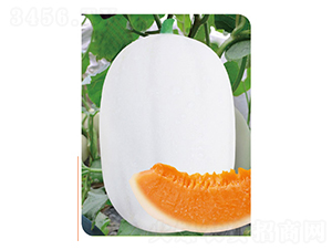 �߿��|����1̖(h��o)-��ϷN��-�߶˷N�I(y��)