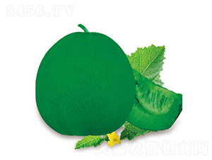 ����(j��)�G��-��ϷN��-�߶˷N�I(y��)