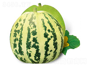 ������-��ϷN��-�߶˷N�I(y��)