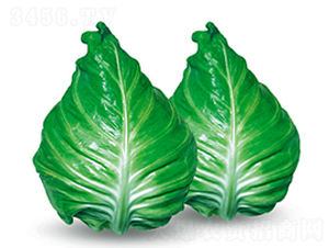 ����-���{(l��n)�N��-�н��N�I(y��)