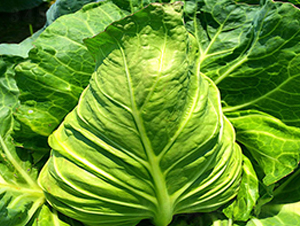 �K��867-���{(l��n)�N��-�н��N�I(y��)